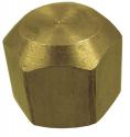 Brass 45º Flare Cap